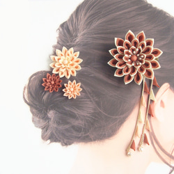 Set of hair ornaments/Flexible arrangement /coral 第2張的照片