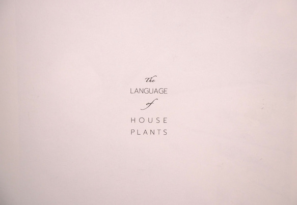 The language of HOUSE PLANTS 7枚目の画像