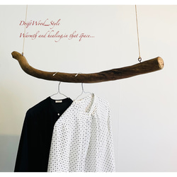 流木インテリア 曲線を描く太い蔦流木のハンガーラック 北欧 衣装掛け ハンギング 吊り下げ ハンガーポール 癒し 1枚目の画像