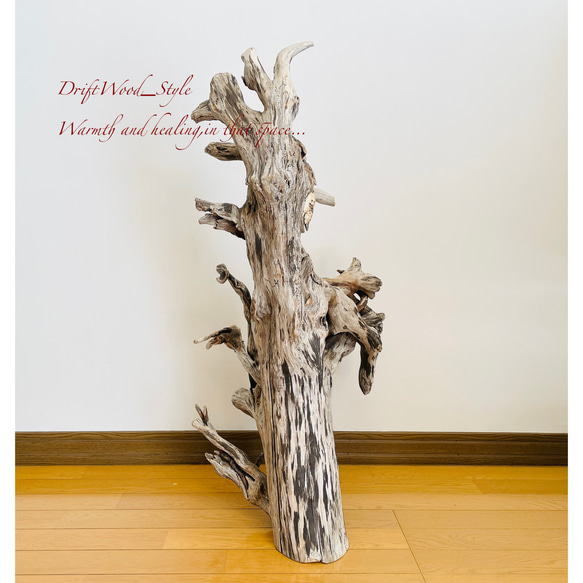 流木インテリア 圧巻の存在感と造形美の流木スタンド ランタンやエアプラントを飾れる置物 北欧 照明 木材 癒し 自然 10枚目の画像