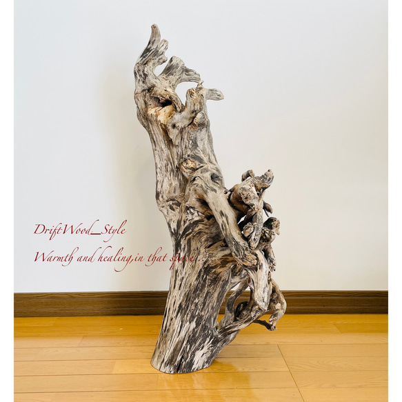 流木インテリア 圧巻の存在感と造形美の流木スタンド ランタンやエアプラントを飾れる置物 北欧 照明 木材 癒し 自然 7枚目の画像