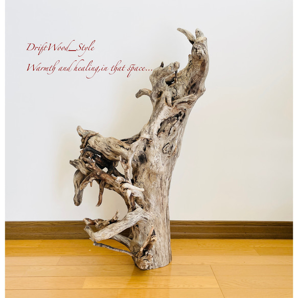 流木インテリア 圧巻の存在感と造形美の流木スタンド ランタンやエアプラントを飾れる置物 北欧 照明 木材 癒し 自然 3枚目の画像