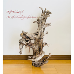 流木インテリア 圧巻の存在感と造形美の流木スタンド ランタンやエアプラントを飾れる置物 北欧 照明 木材 癒し 自然 1枚目の画像