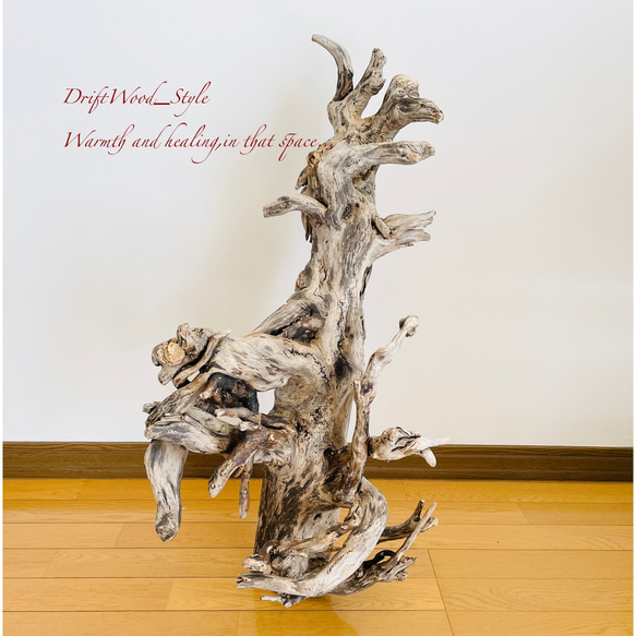 流木インテリア 圧巻の存在感と造形美の流木スタンド ランタンやエアプラントを飾れる置物 北欧 照明 木材 癒し 自然 4枚目の画像