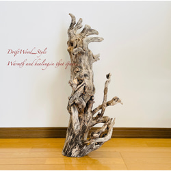 流木インテリア 圧巻の存在感と造形美の流木スタンド ランタンやエアプラントを飾れる置物 北欧 照明 木材 癒し 自然 6枚目の画像