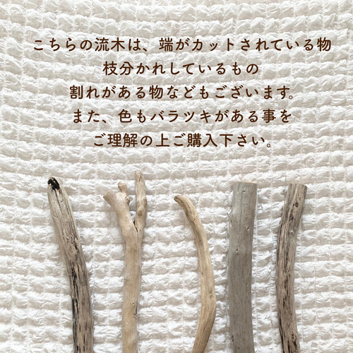 人気》送料無料✳︎【50-60cm】アッシュ流木 流木ハンガー アドベント