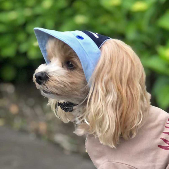 犬用帽子★デニムのアウトドアキャップは白いステッチがとってもおしゃれ  紫外線防止 ペットグッズ 脱げにくい キャンプ 6枚目の画像
