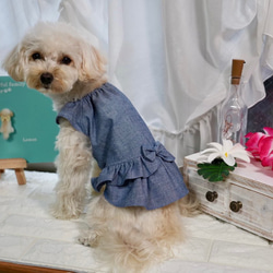 ローウエスト　ワンピース　ダンガリー　リボン　犬服　犬の服　ドックウェア　dogwear わんちゃんの服　オシャレ犬服 4枚目の画像