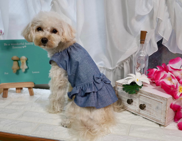 ローウエスト　ワンピース　ダンガリー　リボン　犬服　犬の服　ドックウェア　dogwear わんちゃんの服　オシャレ犬服 4枚目の画像