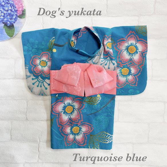 犬の浴衣✨犬用本格本染浴衣 ターコイズブルー×サーモンピンク
