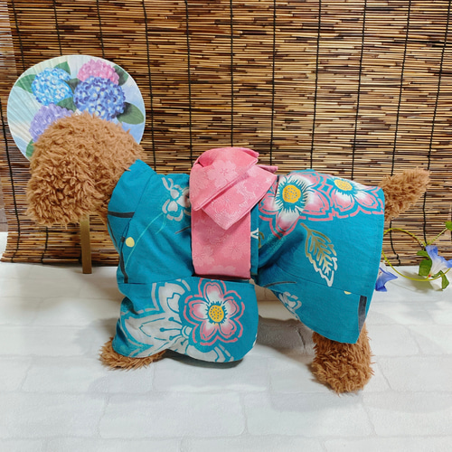 犬の浴衣✨犬用本格本染浴衣 ターコイズブルー×サーモンピンク