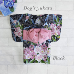 犬の浴衣✨加賀友禅 犬用本格本染浴衣 黒×淡いピンク わんこ浴衣 1枚目の画像