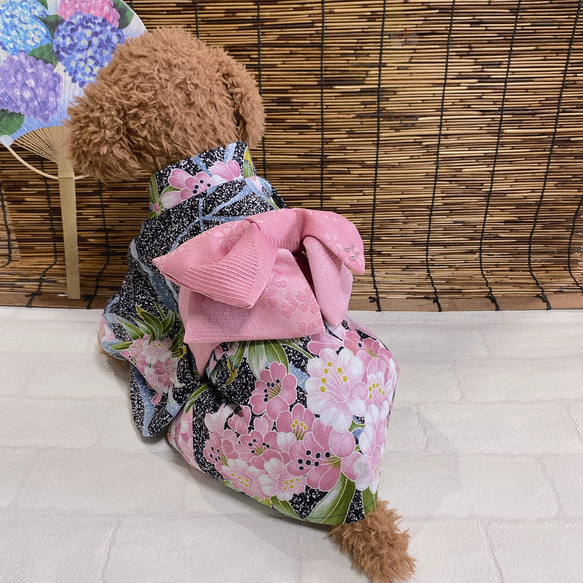犬の浴衣✨加賀友禅 犬用本格本染浴衣 黒×淡いピンク わんこ浴衣 6枚目の画像