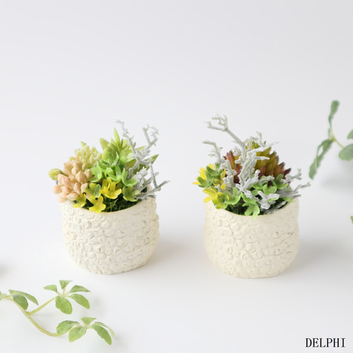 特集掲載】ヒツジの多肉植物ミニアレンジ（2個セット