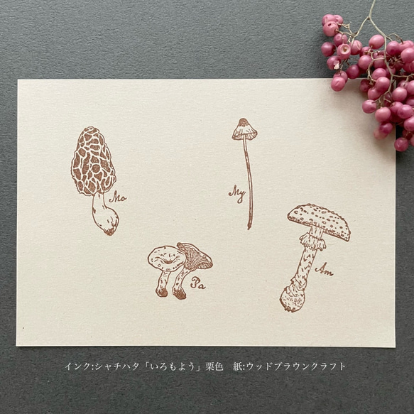 MUSHROOMS　スタンプ4個セット 6枚目の画像