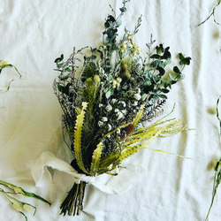 送料無料 深い森の針葉樹薫る落ち着いた雰囲気の蒼いクリスマスリース