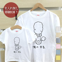 【全国送料無料】俺の本気 犬 トイプードル 親子ペアTシャツセット おもしろTシャツ 綿100% 選べるカラー7色 2枚目の画像