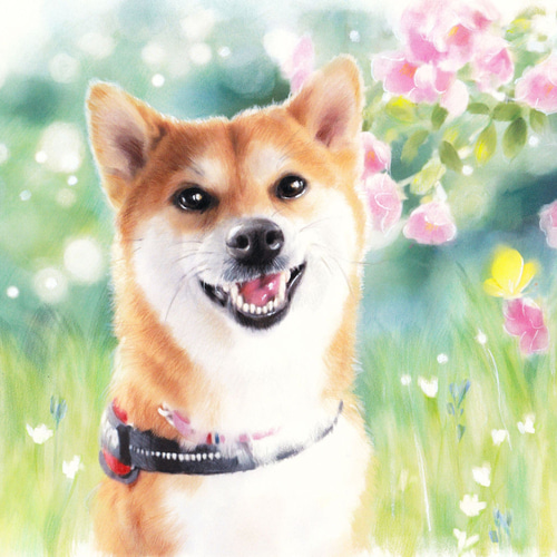 色鉛筆手描き ☆心に残るペット似顔絵 ☆ ＃似顔絵オーダー