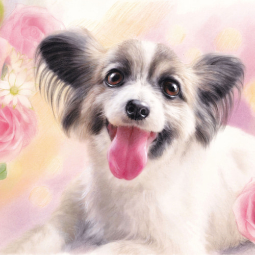 色鉛筆手描き ☆心に残るペット似顔絵 ☆ ＃似顔絵オーダー #ペットの