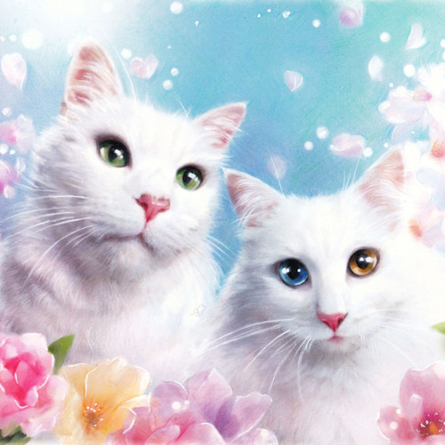 色鉛筆画✭愛猫愛犬✭ペット似顔絵　肖像画　イラスト　注文オーダー　受付ページ 2 色鉛筆手描き ☆心に残るペット似顔絵 ☆ ＃似顔絵オーダー #ペットの