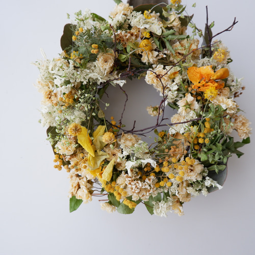 シロモッコウバラのドライフラワーリース ドライフラワー petite