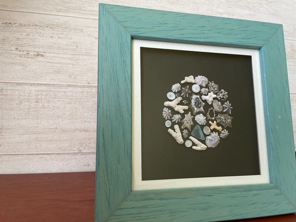 石にくっついてる系貝の丸　ガク 5枚目の画像