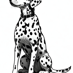 ダルメシアン　ドライ　Tシャツ　犬　ペット　グッズ　dalmatian 2枚目の画像