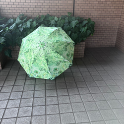【ワケありな逸品】green bouquetの雨傘 13枚目の画像