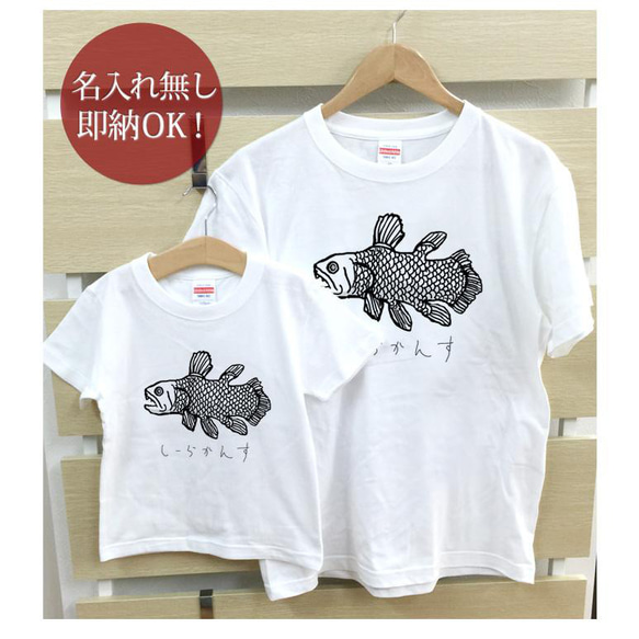 【全国送料無料】シーラカンス 魚 親子ペアTシャツセット おもしろTシャツ 綿100% 選べるカラー7色 2枚目の画像
