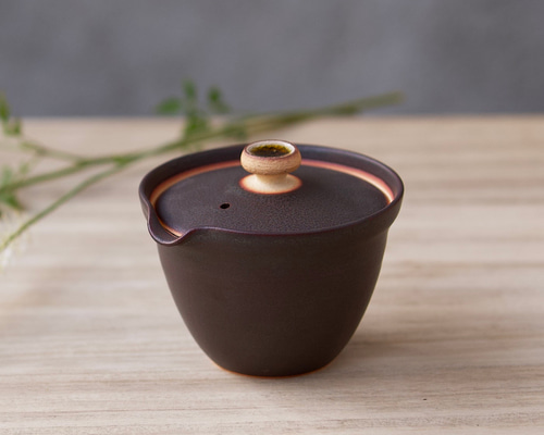 新茶器 急須ヒトリ KOICYA【信楽焼の急須】小ぶりな急須 濃茶 洗い