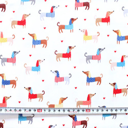 カットクロス Robert Kaufman Fabrics Let's Pawty Dogs Bright 3枚目の画像