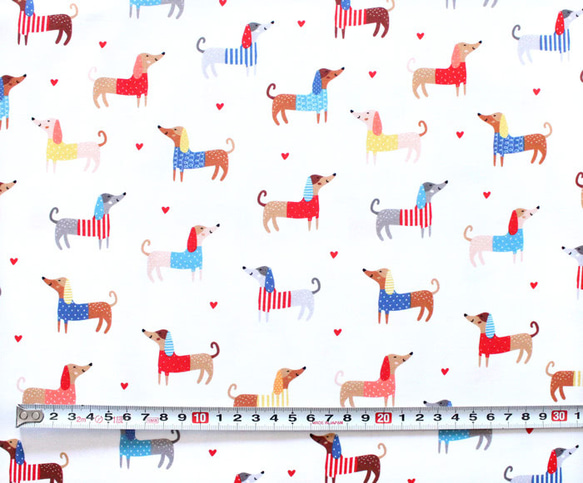 カットクロス Robert Kaufman Fabrics Let's Pawty Dogs Bright 3枚目の画像