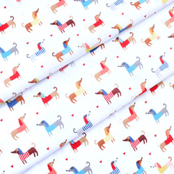 カットクロス Robert Kaufman Fabrics Let's Pawty Dogs Bright 5枚目の画像