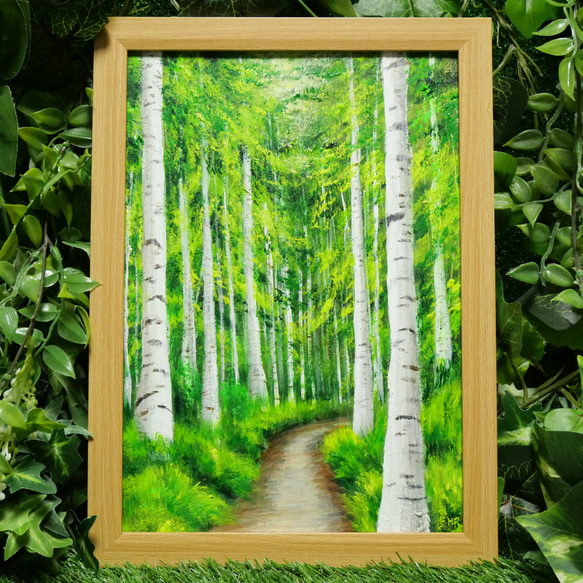 絵画 油絵 作者不詳 肉筆油絵 風景画 白樺林の道