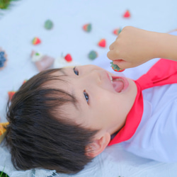 《2ヶ月待ち》おもちゃのアイス屋さんごっこ　ショーケース付きVer 10枚目の画像