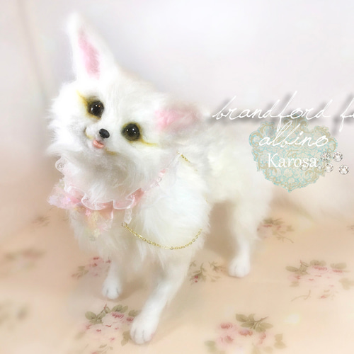 ブランフォードギツネ アルビノ 狐 フェネック 羊毛フェルト アート