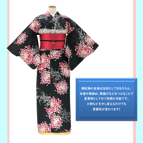 京染浴衣 浴衣単品 「菊と乱菊」 黒地赤菊 箔入り 綿紅梅 綿100