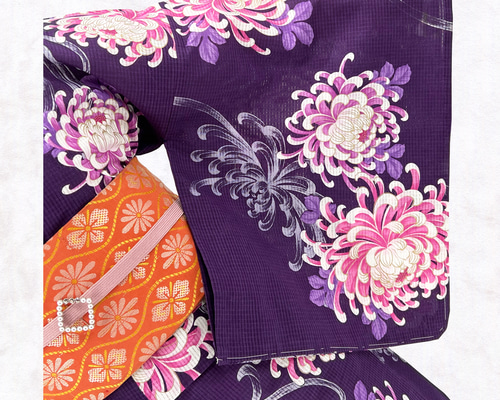 京染浴衣 浴衣単品 「菊と乱菊」 紫地 箔入り 綿紅梅 綿100% 夏
