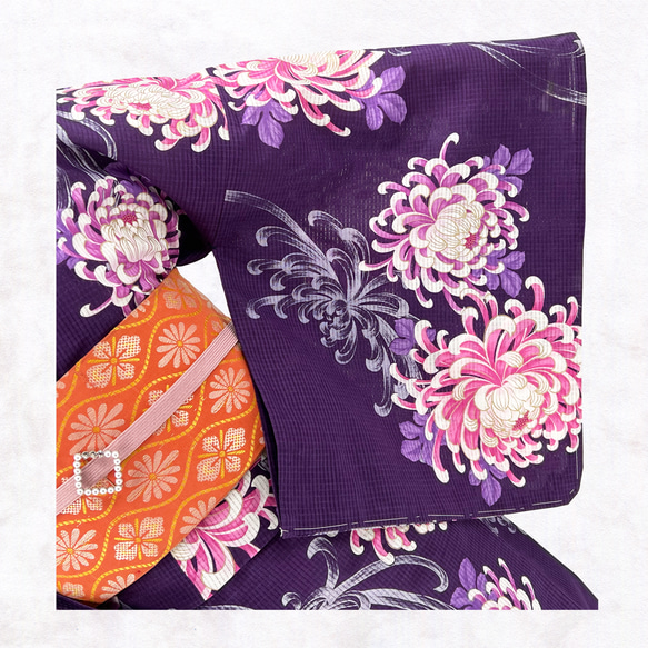 京染浴衣 浴衣単品 「菊と乱菊」 紫地 箔入り 綿紅梅 綿100% 夏