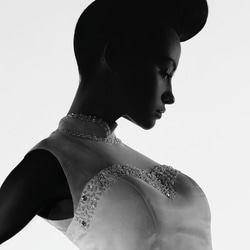 エレガント モデル イブニングドレス モノトーン  / インテリアポスター 海外アート / 4951 8枚目の画像
