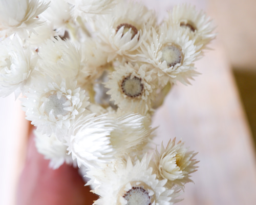 d5d20a6bacb32835e7d33e289afd69