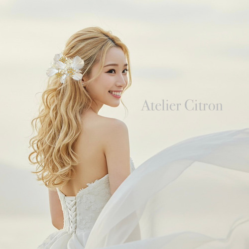 2種類かすみ草の髪飾り♥️ヘッドドレス♥️結婚式 卒業式 入学式 2種類かすみ草の髪飾り♥️ヘッドドレス♥️結婚式 卒業式 入学