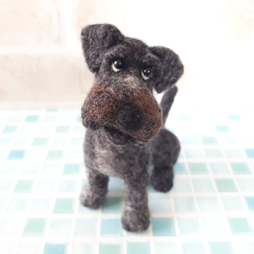 ミニチュアシュナウザー黒 羊毛フェルト manahata 通販 15961531