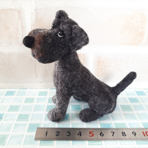 羊毛フェルトミニチュアシュナウザーmomoichigo