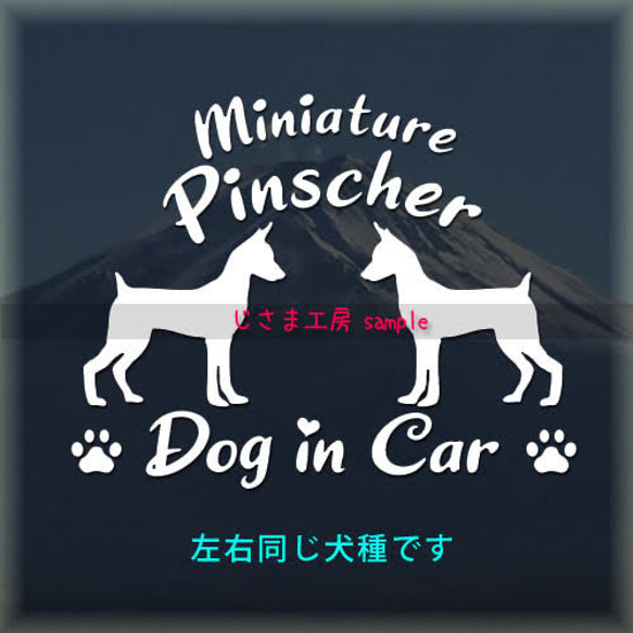 【同一犬種】　かわいい愛犬2頭飼い『Dog　in　Car』シルエットステッカー 1枚目の画像