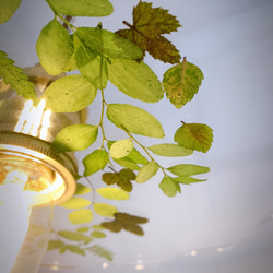 【植物のある暮らし】グリーンのランプシェード　Ｅ２６ 5枚目の画像