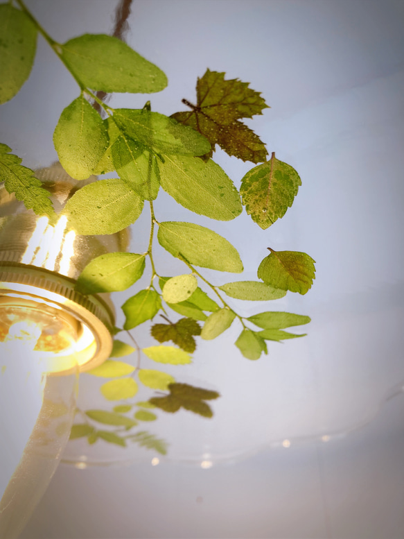 【植物のある暮らし】グリーンのランプシェード　Ｅ２６ 5枚目の画像