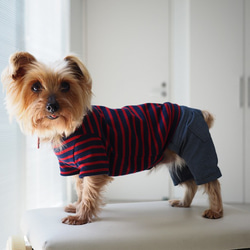 犬服　手作りのおててがかわいく見える袖付きカットソー+パンツ　赤ボーダー 4枚目の画像