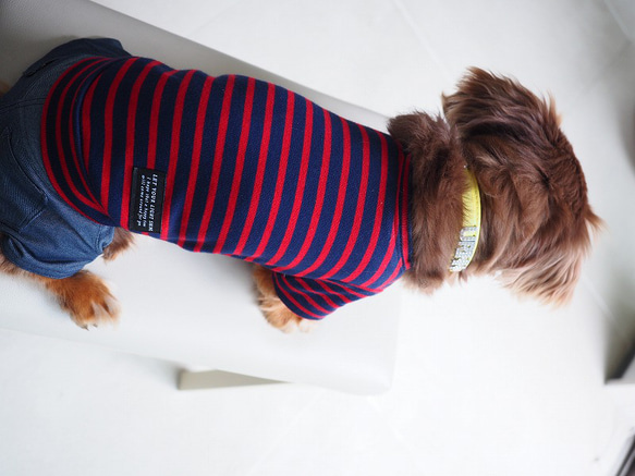 犬服　手作りのおててがかわいく見える袖付きカットソー+パンツ　赤ボーダー 9枚目の画像