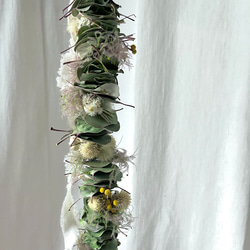 5a2a755858a4a1ec9c17a4dd281818